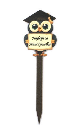 Topper „Najlepsza Nauczycielka” – Sklejka – 5 szt